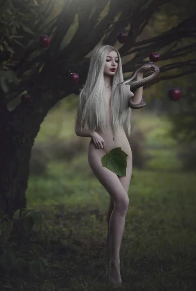 夏娃与蛇的诱惑和罪恶的苹果在伊甸园的花园 年轻漂亮的裸女 长着白色的长发 有一条蛇在苹果树下 艺术作品 — 图库照片