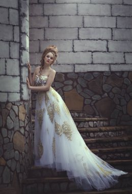 Kalenin duvarları yakınında bir yüksek karmaşık tarihsel saç modeli ile eski bir ortaçağ elbiseli güzel kadın.