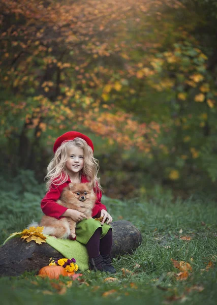 Ein kleines Mädchen mit einem kleinen Hund im herbstlichen Wald. Herbstfotografie. ein Mädchen in rotem Mantel und Baskenmütze mit Hund — Stockfoto