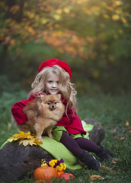 Sonbahar ormanında küçük kırmızı bir köpeği olan küçük bir kız balkabaklarının yanında bir kütüğün üzerinde oturuyor. Sonbahar fotoğrafçılık. — Stok fotoğraf