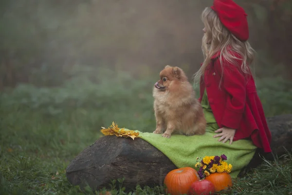 Ein kleines blondes Mädchen mit einem kleinen roten Hund im herbstlichen Nebelwald, das auf einem Baumstamm neben Kürbissen sitzt. Herbstfotografie. — Stockfoto