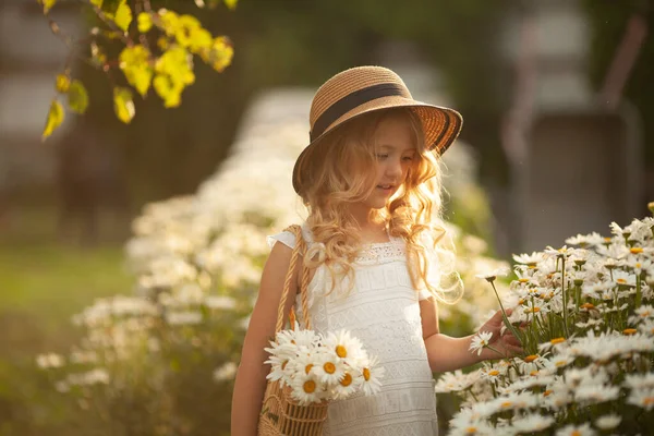 Retrato de una linda niña sonriente en un sombrero de paja con una cesta de flores en un campo de manzanilla en primavera . — Foto de Stock