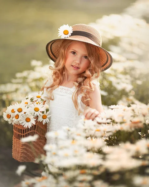 Portret van een schattig klein lachend meisje in een strohoed met een mand bloemen in een kamilleveld in het voorjaar. — Stockfoto