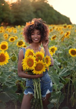 Mutlu siyah kadın ayçiçeği tarlasında yürüyor. Bir buket ayçiçeği ve kıvırcık saçlarıyla gülümseyen esmer tenli kız..