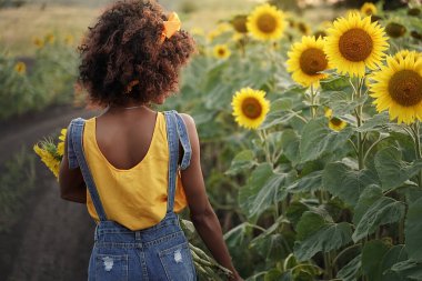 Mutlu genç siyah kadın Sunset 'teki ayçiçeği tarlasında yürüyor. Bir buket ayçiçeği ve kıvırcık saçlı esmer kız. Arka plan
