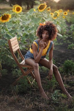 Gün batımında bir ayçiçeği tarlasında sandalyede poz veren esmer tenli genç bir kadın. Esmer, kıvırcık saçlı bir kız..