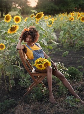 Gün batımında bir ayçiçeği tarlasında sandalyede poz veren esmer tenli genç bir kadın. Koyu tenli kız bir buket ayçiçeği ve kıvırcık saçlı.