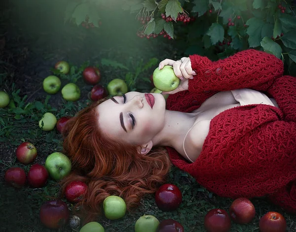 Joven atractiva hermosa mujer pelirroja con manzanas y bayas de Rowan en una luz de hadas. Transformación artística. —  Fotos de Stock