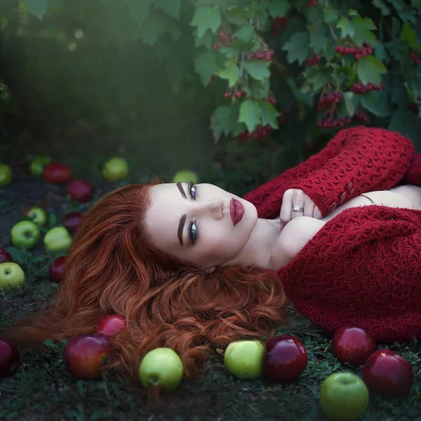 Giovane bella donna dai capelli rossi attraente con mele e bacche di Rowan in una luce fatata. Lavorazione artistica. Fotografia Stock