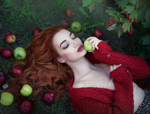 Giovane bella donna dai capelli rossi attraente con mele e bacche di Rowan in una luce fatata. Lavorazione artistica. Foto Stock Royalty Free