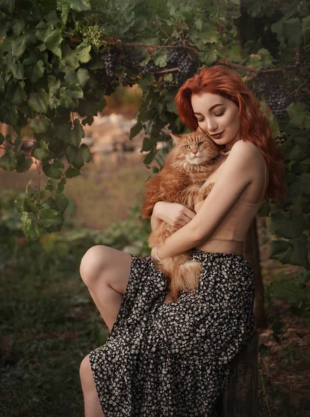 Ragazza dai capelli rossi con un gatto rosso in campagna vicino a un vigneto su un ceppo. Immagini Stock Royalty Free