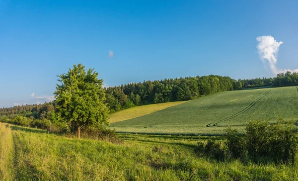 Paisaje en primavera —  Fotos de Stock