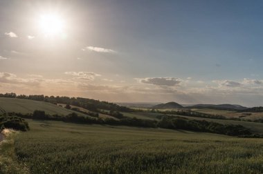 Güzel yaz manzarası