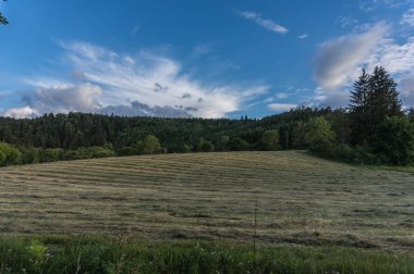 Güzel yaz manzarası