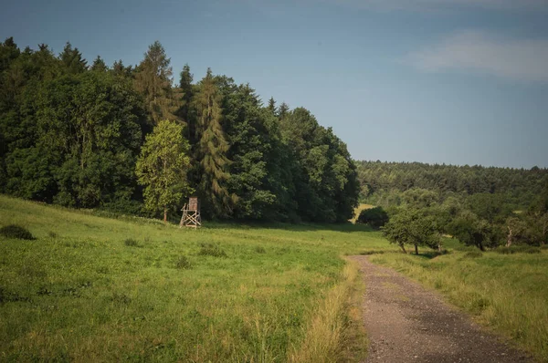 Beau paysage d'été — Photo