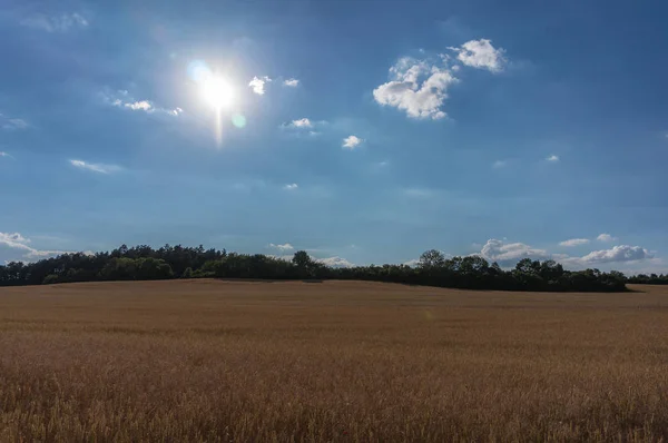 美しい夏の風景 — ストック写真