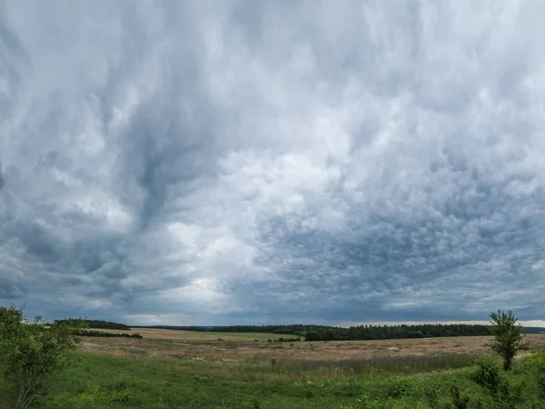 Krásná letní krajina — Stock fotografie