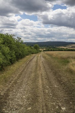 Güzel yaz manzarası