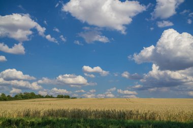 Güzel yaz manzarası