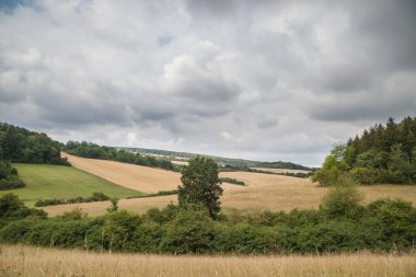 Güzel yaz manzarası