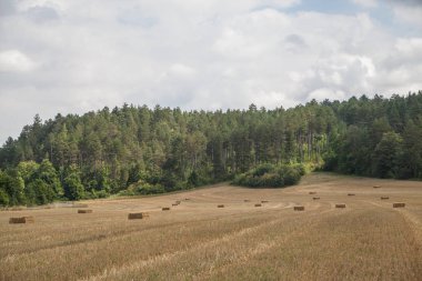 Güzel yaz manzarası
