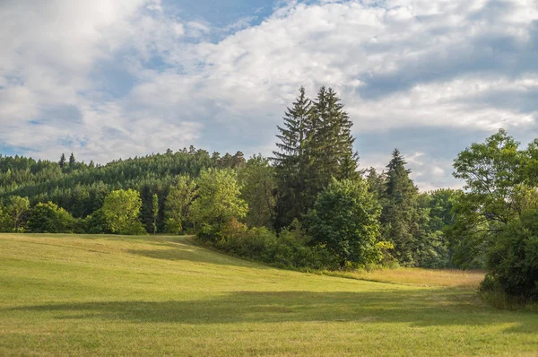 Güzel yaz manzarası