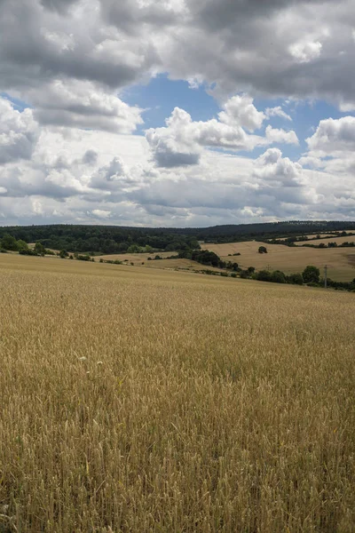 Güzel yaz manzarası