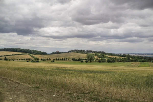 Schöne Sommerlandschaft — Stockfoto