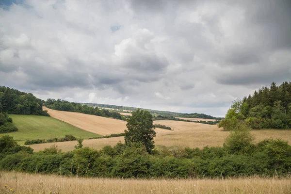 Prachtig zomers landschap — Stockfoto