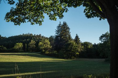 Güzel yaz manzarası