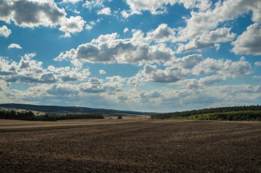 Güzel yaz manzarası