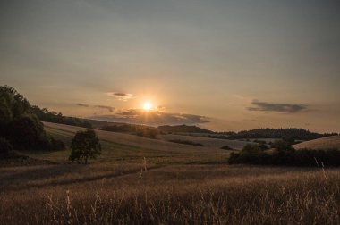 Güzel yaz manzarası