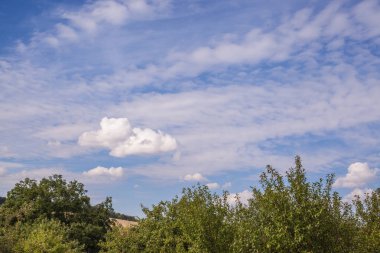 Güzel yaz manzarası