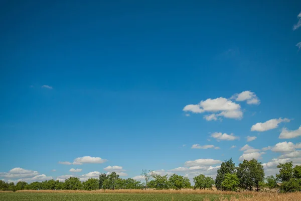 Hermoso paisaje de verano — Foto de Stock