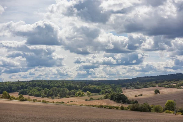 Hermoso paisaje de verano —  Fotos de Stock