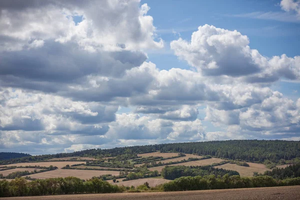 Güzel yaz manzarası