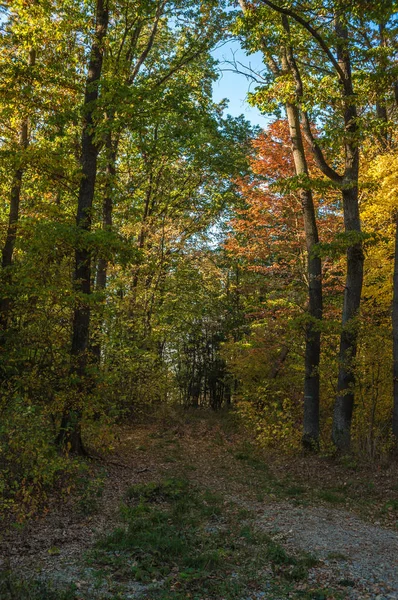 Paesaggio in primavera — Foto Stock