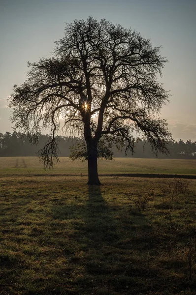 Landscape in spring — Stock Photo, Image