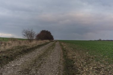 Sonbaharda güzel bir manzara