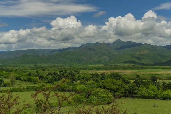 Karibische Landschaft Sommer — Stockfoto