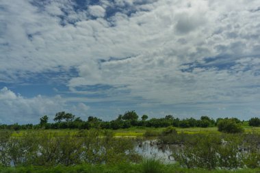 Yaz aylarında Karayip manzara