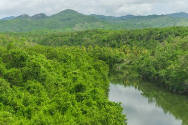 Yaz aylarında Karayip manzara