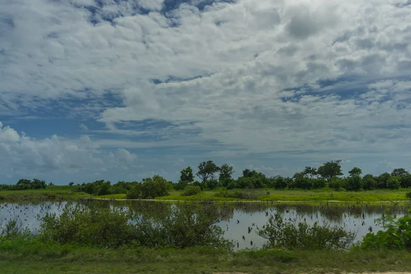 Yaz aylarında Karayip manzara