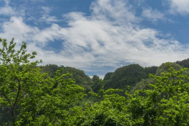 Yaz aylarında Karayip manzara