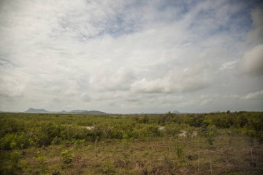 Yaz aylarında Karayip manzara