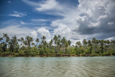 Yaz aylarında Karayip manzara
