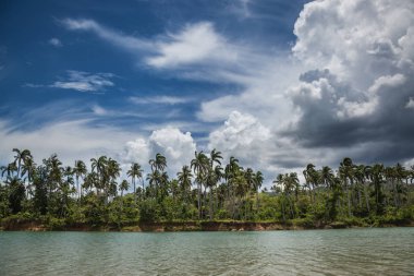 Yaz aylarında Karayip manzara