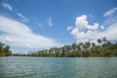 Yaz aylarında Karayip manzara
