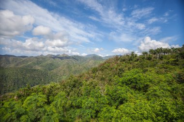 Yaz aylarında Karayip manzara
