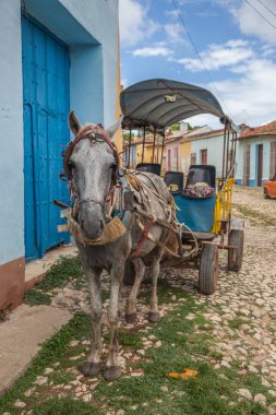 Yaz aylarında Karayip manzara